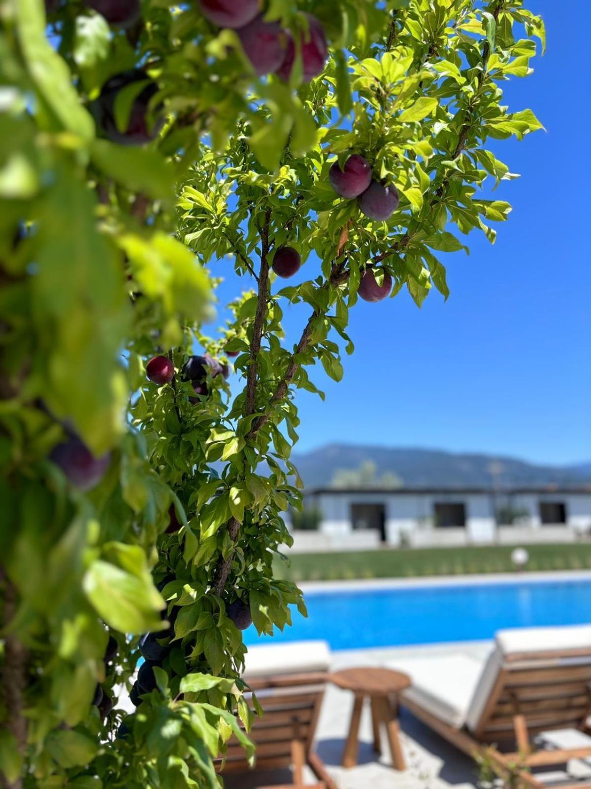 Aparthotel Casa Mora Edremit  Esterno foto